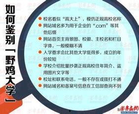 新闻爆料野鸡大学视频,视频曝光招生乱象